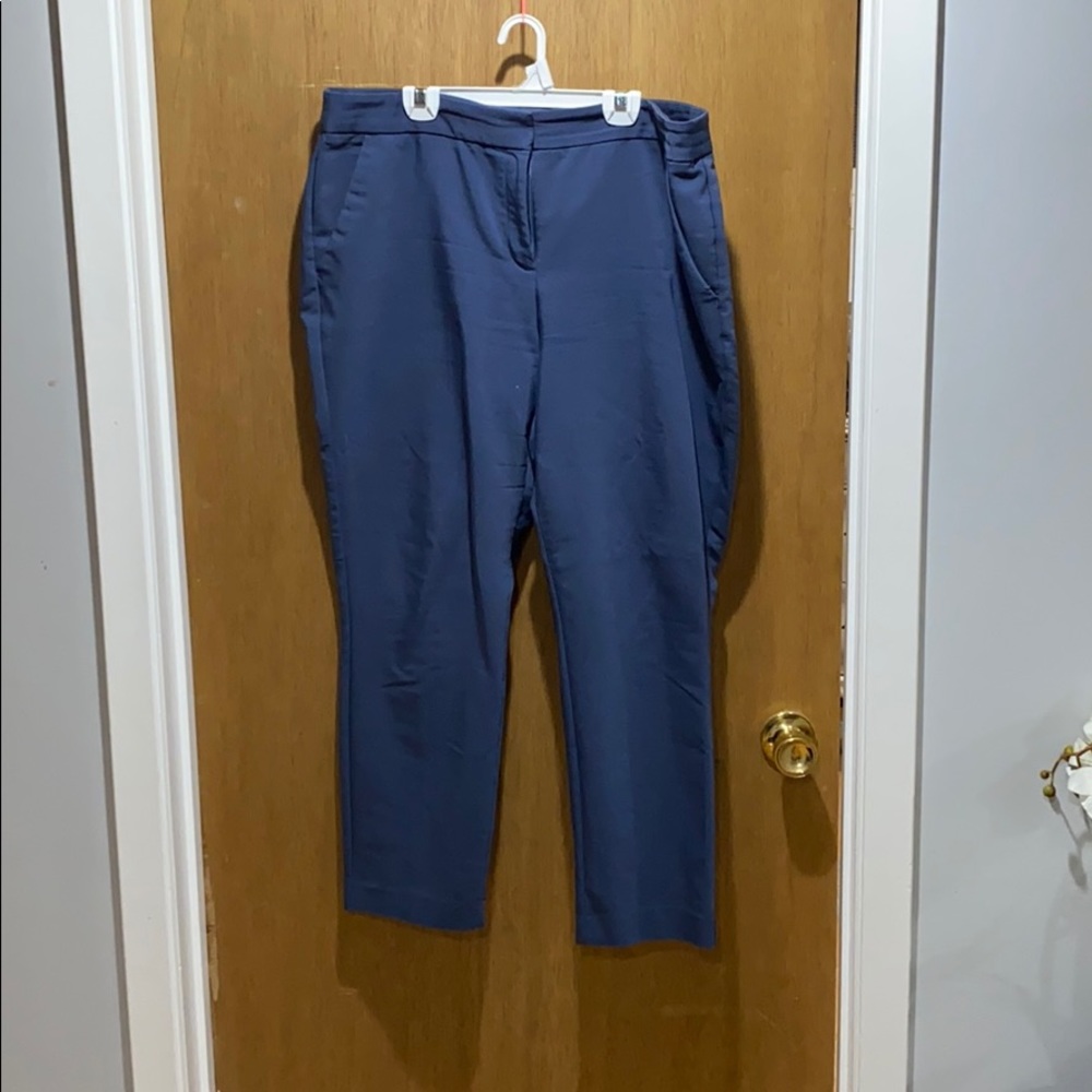 Express Columnist Dress Pants